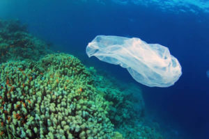 Bolsas plásticas en el mar